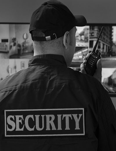 Armed and unarmed security officer